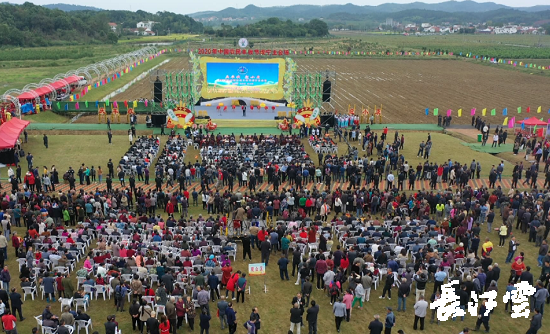 9月21日,咸寧市咸安區(qū)高橋蘿卜小鎮(zhèn)百畝草地上舉行了“慶豐收·迎小康”第三屆中國農(nóng)民豐收節(jié)湖北分會(huì)場(chǎng)咸寧主會(huì)場(chǎng)慶?;顒?dòng),全市各界農(nóng)民代表相聚白水畈的美麗田野,分享豐收的喜悅,慶祝屬于自己的節(jié)日。 開幕式上舉行了精彩的文藝演出,演出在舞蹈《慶豐收》中拉開序幕,歌舞《錦繡小康》呈現(xiàn)出咸寧各地欣欣向榮、脫貧致富奔小康的幸福場(chǎng)景。網(wǎng)紅歌曲《你莫走》、舞蹈《慶豐收》、歌舞《一起幸福》,一個(gè)個(gè)精彩的節(jié)目輪番上演,博得現(xiàn)場(chǎng)觀眾陣陣掌聲。 開幕活動(dòng)現(xiàn)場(chǎng)還舉行了頒獎(jiǎng)儀式,第二屆“美麗中國、鄉(xiāng)村振興”全國農(nóng)民詩歌邀請(qǐng)賽獲獎(jiǎng)組織和個(gè)人,全市農(nóng)村人居環(huán)境整治示范村,省級(jí)農(nóng)業(yè)產(chǎn)業(yè)化工作先進(jìn)集體和先進(jìn)個(gè)人上臺(tái)領(lǐng)獎(jiǎng)。現(xiàn)場(chǎng)還舉行了鄂南民俗展演、農(nóng)民趣味運(yùn)動(dòng)會(huì)、扶貧農(nóng)產(chǎn)品以及咸寧特色農(nóng)產(chǎn)品展銷等豐富多彩的活動(dòng)?;鸨娜藲猓屧趫?chǎng)的展銷商賺得是盆滿缽滿。 咸寧市咸安區(qū)鑫達(dá)種養(yǎng)專業(yè)合作社理事長(zhǎng)萬永輝:今年家里的香菇都豐收了,一上午我就賣出了一萬多元,我們合作社采取的是“合作社+農(nóng)戶”的模式,也帶領(lǐng)了20多戶貧困戶脫貧了。 咸寧市致遠(yuǎn)種植專業(yè)合作社理事長(zhǎng) 吳海兵:我們今年是真真正正地豐收了,我們生姜的價(jià)格足足翻了三倍,跟著我們一起的貧困戶也平均增收了3000元左右。 而這一系列的活動(dòng),都是在蘿卜小鎮(zhèn)的草地上進(jìn)行的,草地作舞臺(tái)、草地搞展示、草地上比賽等等,這數(shù)百畝草地,此時(shí)此刻成為了咸寧農(nóng)民們慶祝豐收的歡樂場(chǎng)。 咸寧市咸安區(qū)高橋鎮(zhèn)黨委書記王順榮:今年的湖北分會(huì)場(chǎng)在我們高橋蘿卜小鎮(zhèn)舉辦,我感到很榮幸,我們從一顆蘿卜做起,以白水畈蘿卜為核心品牌,打造白水畈"我家菜園"蔬菜基地及旅游觀光體驗(yàn)中心,發(fā)展綠色農(nóng)業(yè)、生態(tài)旅游,增加產(chǎn)業(yè)開發(fā)的綜合效益,創(chuàng)建蘿卜特色小鎮(zhèn),走出了一條農(nóng)業(yè)、旅游相結(jié)合的新路,推動(dòng)高橋鎮(zhèn)一二三產(chǎn)業(yè)融合發(fā)展。 鄉(xiāng)親們說,這在以前是想都不敢想的,高橋鎮(zhèn)蝸居山里,太偏遠(yuǎn)又沒有資源優(yōu)勢(shì),想發(fā)展太難。而現(xiàn)在這一切的悄然改變,得益于2017年10月13日,咸安區(qū)政府與鄂旅投公司正式簽署的《131軍旅小鎮(zhèn)+白水畈田園綜合體旅游開發(fā)投資合作協(xié)議》,鄂旅投公司將投資30億元,在高橋鎮(zhèn)打造131軍旅小鎮(zhèn)和白水畈田園綜合體旅游開發(fā)項(xiàng)目。項(xiàng)目共分為131軍旅小鎮(zhèn)、白水畈美麗鄉(xiāng)村、特色農(nóng)業(yè)示范、旅游綜合體四大板塊,打造旅游綜合服務(wù)區(qū)、澄水洞軍事展示區(qū)、青少年國防教育基地、鐵血軍事樂園區(qū)、戰(zhàn)狼訓(xùn)練基地、美麗村灣民俗區(qū)、四季瓜果示范區(qū)、農(nóng)耕文化展示區(qū)、特色商業(yè)街區(qū)和康養(yǎng)度假區(qū)十大功能區(qū)。 咸寧市咸安區(qū)高橋鎮(zhèn)黨委書記王順榮:我們引進(jìn)鄂旅投,打造蘿卜小鎮(zhèn),目前建設(shè)有蘿卜小鎮(zhèn)科普館、蘿卜鄉(xiāng)學(xué)院、蘿卜酒店等休閑旅游項(xiàng)目,十一馬上到了,也歡迎廣大游客前來游玩。 今年是決勝全面建成小康社會(huì)、決戰(zhàn)脫貧攻堅(jiān)之年。咸寧市本著"儉樸、祥和、歡樂,農(nóng)民參與,農(nóng)民唱主角"的辦節(jié)思路,而此屆中國農(nóng)民豐收節(jié)辦節(jié)費(fèi)用也是倍減。 農(nóng)為邦本,本固邦寧。今年,面對(duì)重大疫情和特大洪澇災(zāi)害,咸寧市扎實(shí)做好“六穩(wěn)”工作、落實(shí)“六保”任務(wù),克服重重困難,推動(dòng)農(nóng)業(yè)實(shí)現(xiàn)持續(xù)平穩(wěn)發(fā)展,形成了茶葉、油茶、中藥材等12個(gè)特色農(nóng)業(yè)主導(dǎo)產(chǎn)業(yè),“全國一村一品示范村鎮(zhèn)”發(fā)展到14家,國家級(jí)、省級(jí)農(nóng)業(yè)產(chǎn)業(yè)化龍頭企業(yè)達(dá)到55家。尤其是糧食產(chǎn)量預(yù)計(jì)達(dá)118萬噸、蔬菜產(chǎn)量預(yù)計(jì)達(dá)260萬噸,生豬預(yù)計(jì)出欄183.52萬頭,農(nóng)業(yè)生產(chǎn)再獲豐收,糧食安全有效保障,讓農(nóng)民的腰包更鼓、家園更美、生活更甜,為加快實(shí)施鄉(xiāng)村振興戰(zhàn)略、推動(dòng)咸寧高質(zhì)量發(fā)展提供堅(jiān)實(shí)保障。
